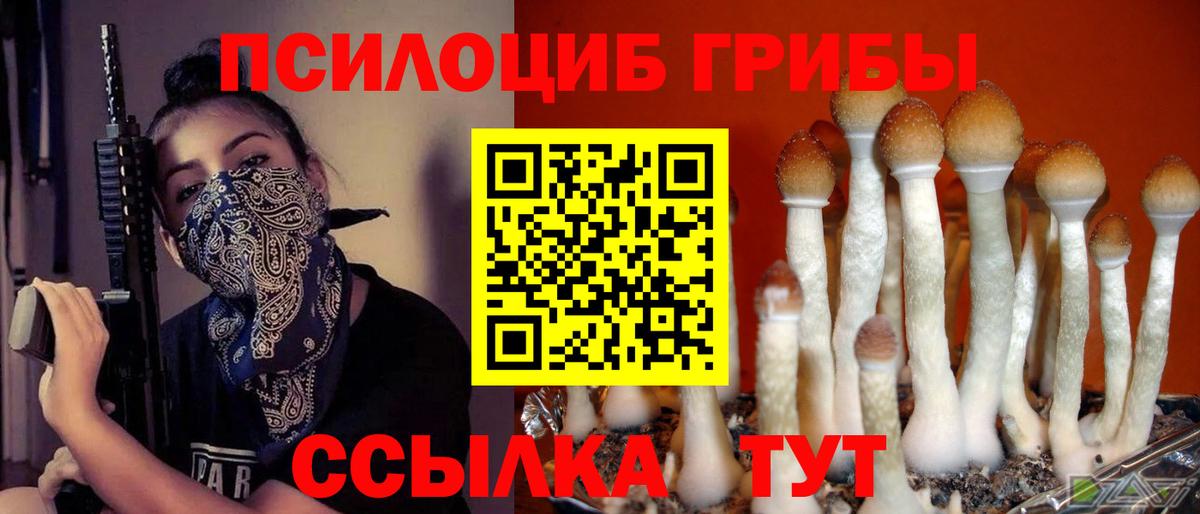 дарнет шоп  Вход с VPN  Петрозаводск  Галлюциногенные грибы MAGIC MUSHROOMS 